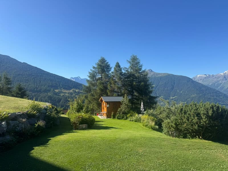 Magnifique chalet - Emplacement d'exception - MASE (VAL D'HERENS) (6)