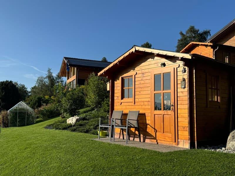 Magnifique chalet - Emplacement d'exception - MASE (VAL D'HERENS) (12)