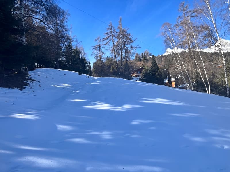 Terrain / 1'466 m2 / Mayens de Chamoson / Réf. 10265556 / EXCLUSIVITE (3)