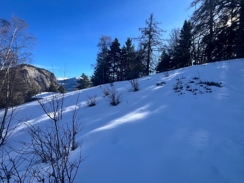 Terrain / 1'466 m2 / Mayens de Chamoson / Réf. 10265556 / EXCLUSIVITE (6)