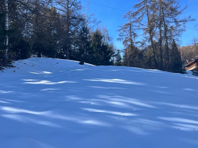 Terrain / 1'466 m2 / Mayens de Chamoson / Réf. 10265556 / EXCLUSIVITE (2)