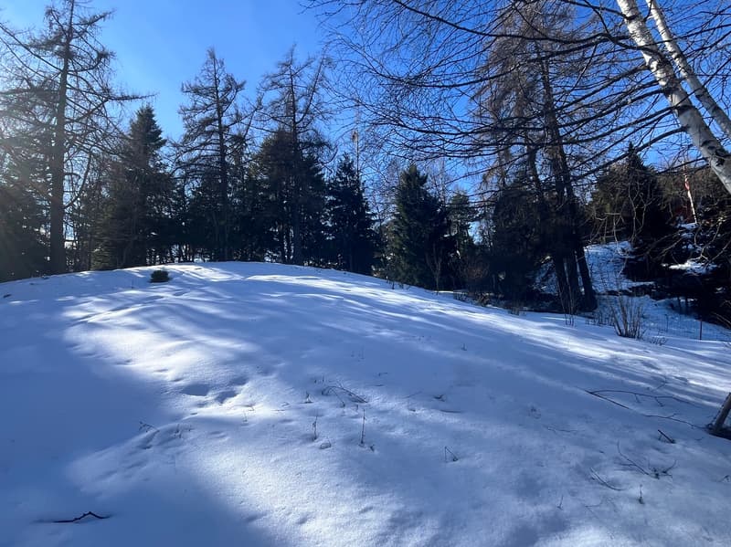 Terrain / 1'466 m2 / Mayens de Chamoson / Réf. 10265556 / EXCLUSIVITE (4)