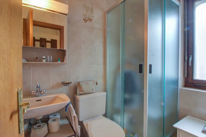 Villa - 2 appart. - 1'200 m3 - Vétroz - EXCLUSIVITE  - réf. 10262596 (9)
