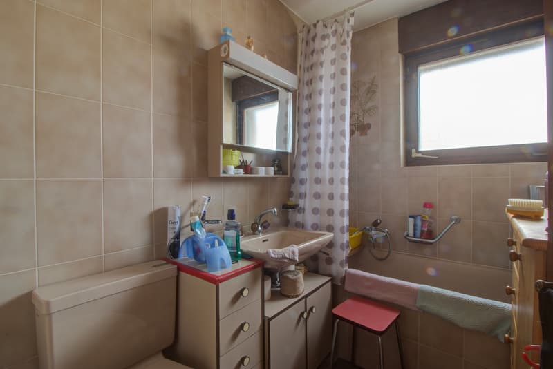 Villa - 2 appart. - 1'200 m3 - Vétroz - EXCLUSIVITE  - réf. 10262596 (8)