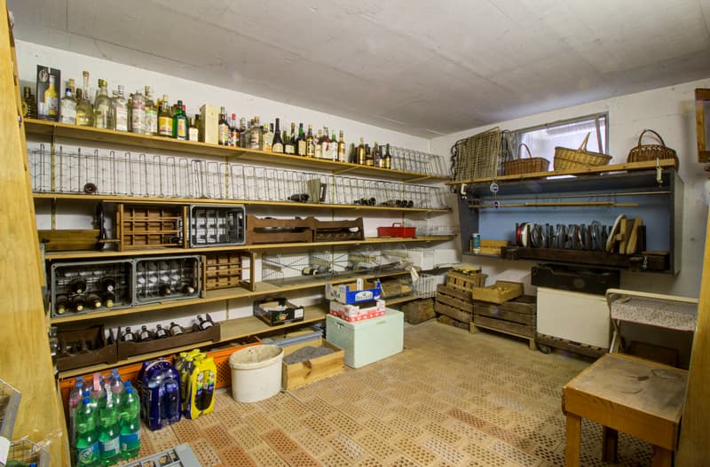 Villa - 2 appart. - 1'200 m3 - Vétroz - EXCLUSIVITE  - réf. 10262596 (12)