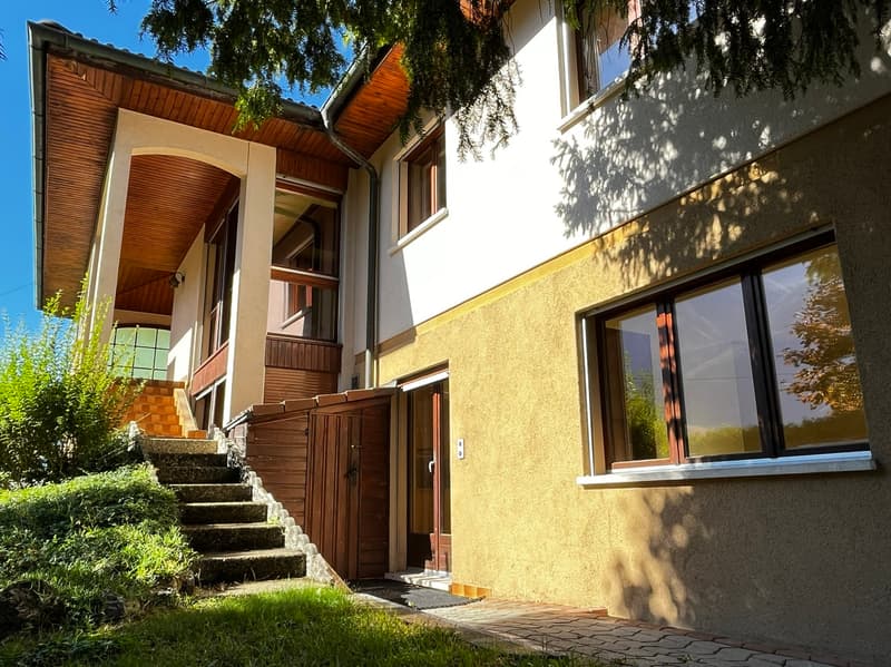 Villa / 2 appartements / 1'735 m3 et terrain 1'073 m2 / EXCLUSIVITE (9)