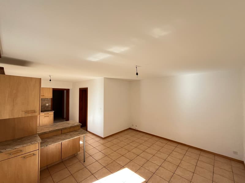 Villa / 2 appartements / 1'735 m3 et terrain 1'073 m2 / EXCLUSIVITE (8)