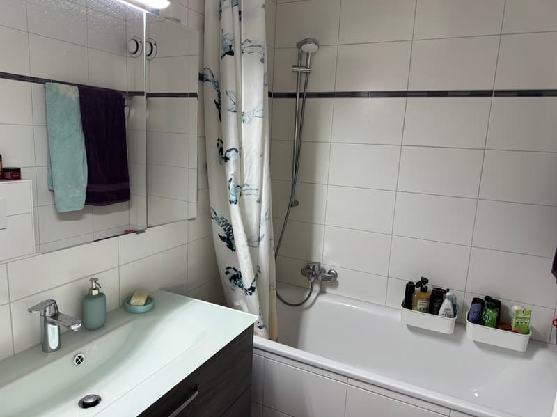 Appartement - 4.5 pces - SION - 8 min. de la Gare - réf. 10264491 (9)