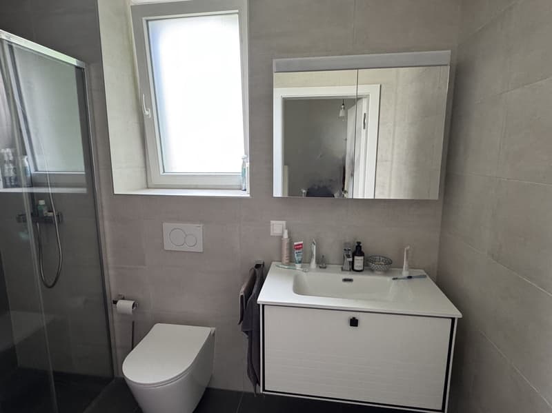 Villa - 5.5 pces - Disponible de suite -Pravidondaz (Salins - Sion) (10)
