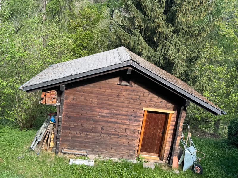 Chalet et petit raccard - Euseigne (Val d'Hérens) - EXCLUSIVITE (6)