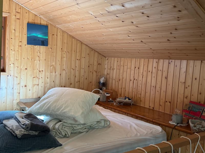 Chalet et petit raccard - Euseigne (Val d'Hérens) - EXCLUSIVITE (11)