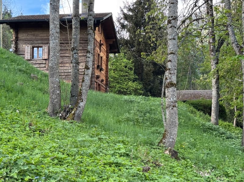 Chalet et petit raccard - Euseigne (Val d'Hérens) - EXCLUSIVITE (7)