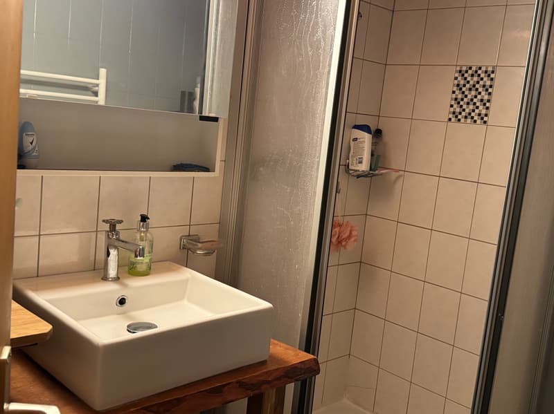 Chalet et petit raccard - Euseigne (Val d'Hérens) - EXCLUSIVITE (13)