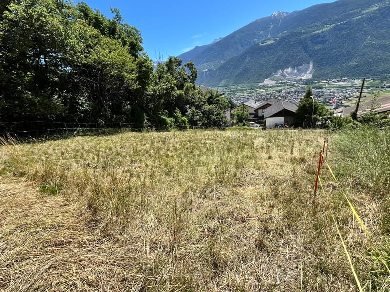 Terrain - 1'399 m2 - Signèse (Ayent) - réf. 10265559 - EXCLUSIVITE (2)