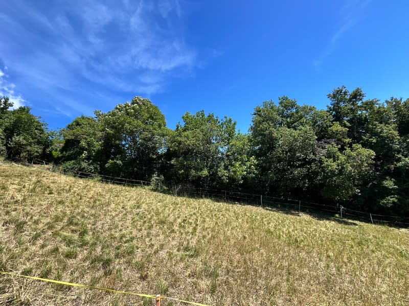 Terrain - 1'399 m2 - Signèse (Ayent) - réf. 10265559 - EXCLUSIVITE (4)