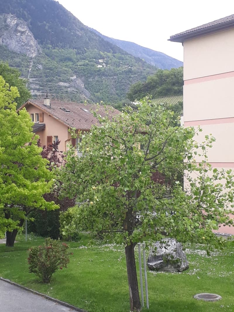 Appartement - 3.5 pces - 2021 Rénovation - Sierre - EXCLUSIVITE (11)