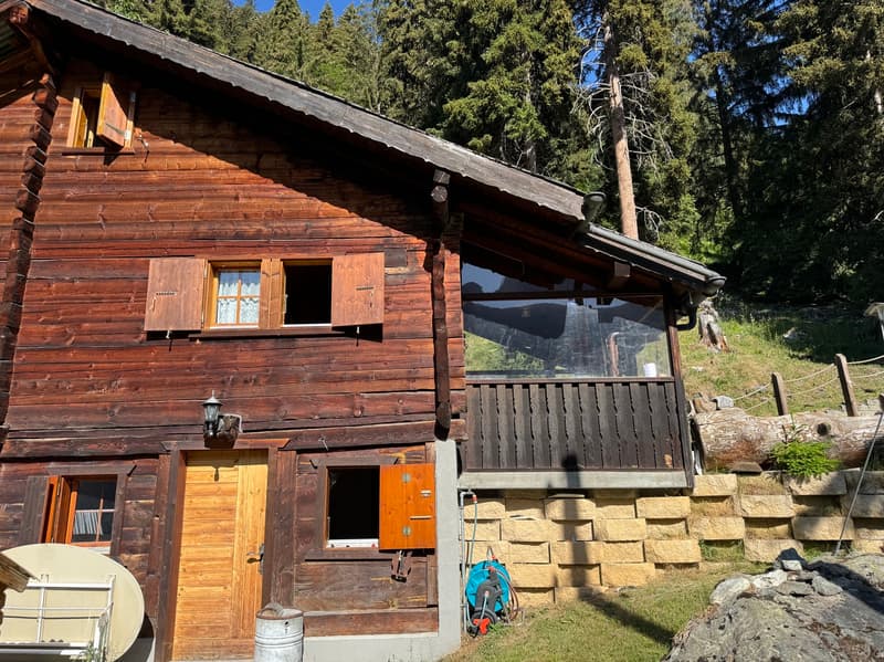 Demi-chalet d'été / Artseno (Dixence) / EXCLUSIVITE / réf. 10267759 (3)
