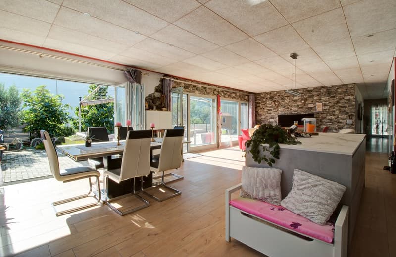 Terrasse de 130 m2 – Un seul niveau – nombreuses places de parc (3)