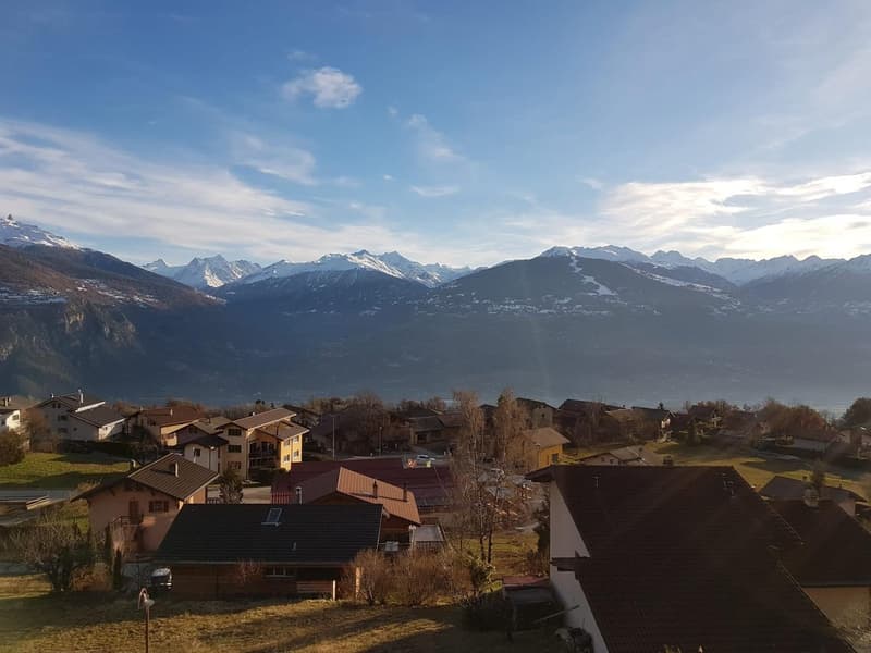 Attique – 2 places de parc privatives – vue imprenable (8)