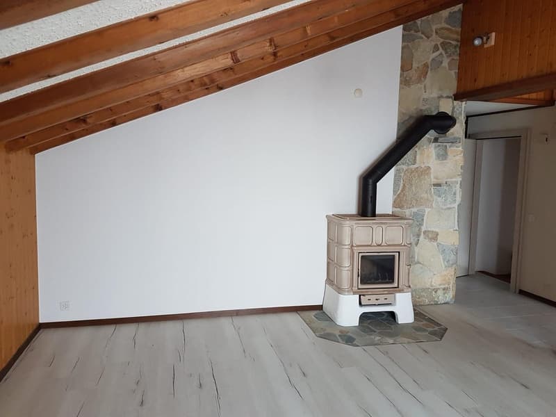 Attique – 2 places de parc privatives – vue imprenable (4)