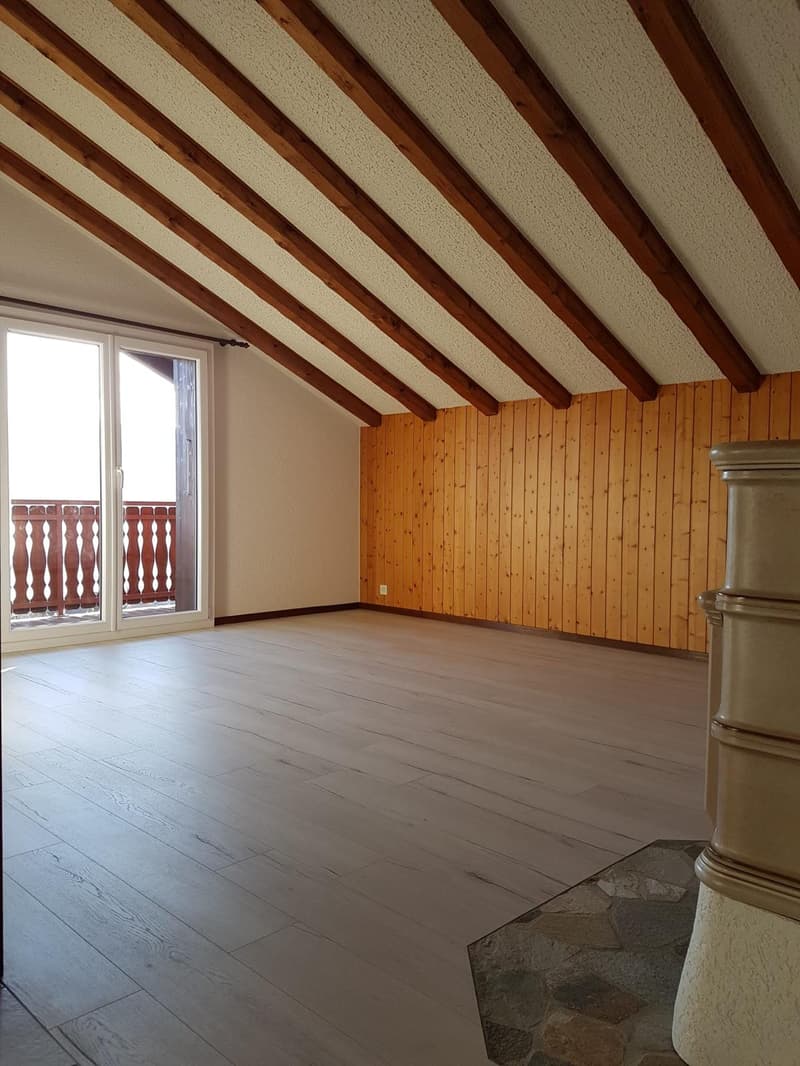 Attique – 2 places de parc privatives – vue imprenable (3)