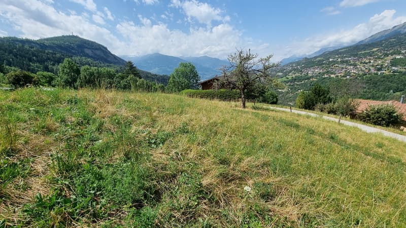 Terrain - Libre de mandat - Icogne - EXCLUSIVITE - réf. 10265560 (2)