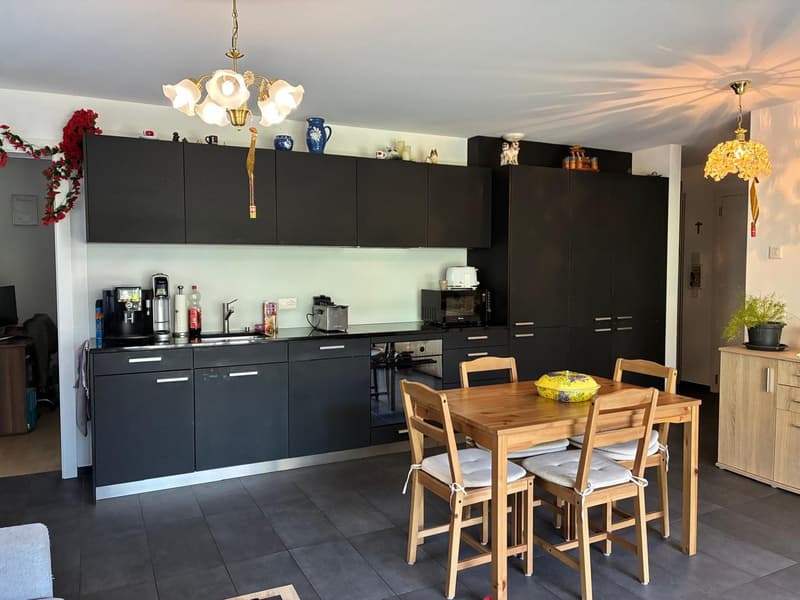 REZ avec terrasse et accès pelouse – 2 places de parc (5)