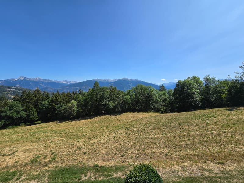 Chalet "Clô di Meitra" / Mi-chemin Ayent et Anzère / EXCLUSIVITE (5)