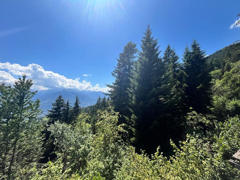 Chalet "Coteau Fleuri" / 4.5 pces / Anzère /réf. 10267763 /EXCLUSIVITE (12)