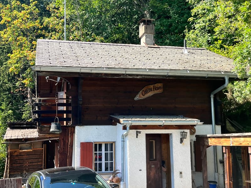 Chalet "Coteau Fleuri" / 4.5 pces / Anzère /réf. 10267763 /EXCLUSIVITE (2)
