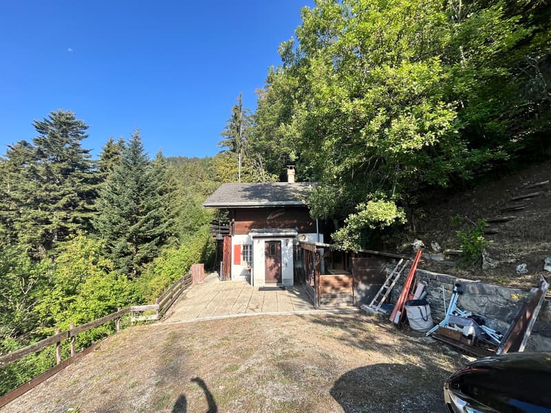 Chalet "Coteau Fleuri" / 4.5 pces / Anzère /réf. 10267763 /EXCLUSIVITE (3)