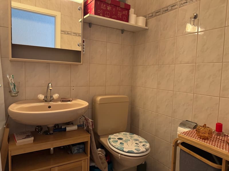 Appartement / 2.5 pces / Torgon / réf. 10264713 / EXCLUSIVITE (8)