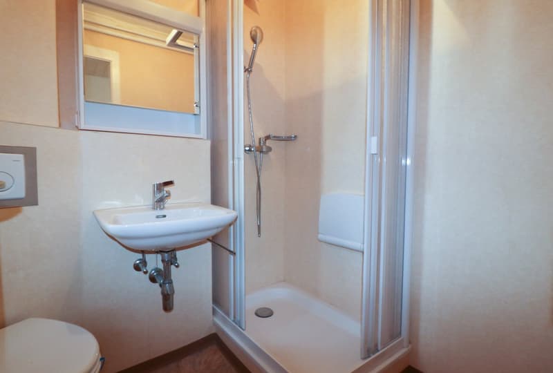 OCCASION UNIQUE - Grand appartement rénové au centre de Sion – QUARTIER DES COLLINES (15)