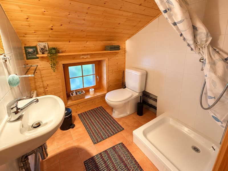 Chalet / 5.5 pces / Arolla / Rare et très prisé / réf. 10267765 (12)