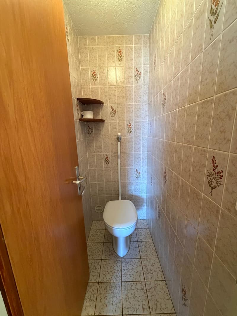 Maison – 5.5 pces – extérieurs – possibilité activité indépendante (13)