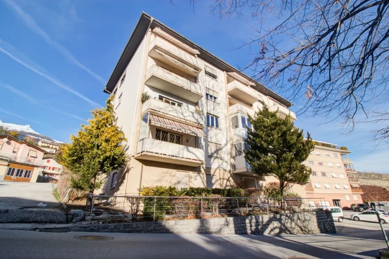 Très grand studio meublé et agencé avec place de parc privative (9)