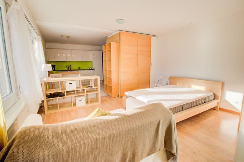 Très grand studio meublé et agencé avec place de parc privative (7)