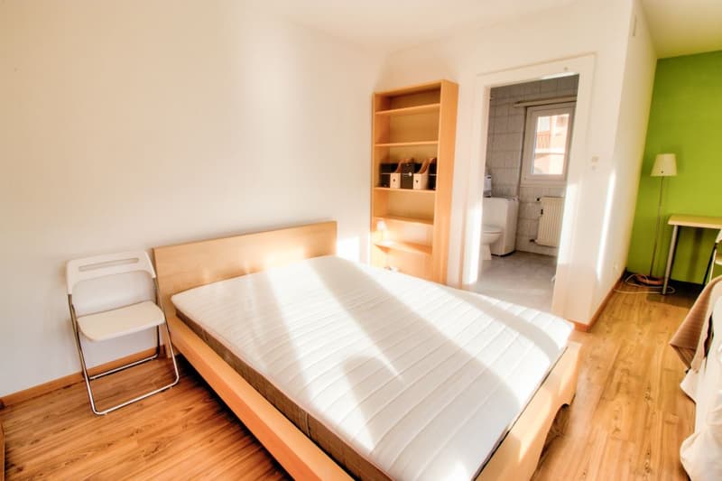 Très grand studio meublé et agencé avec place de parc privative (6)