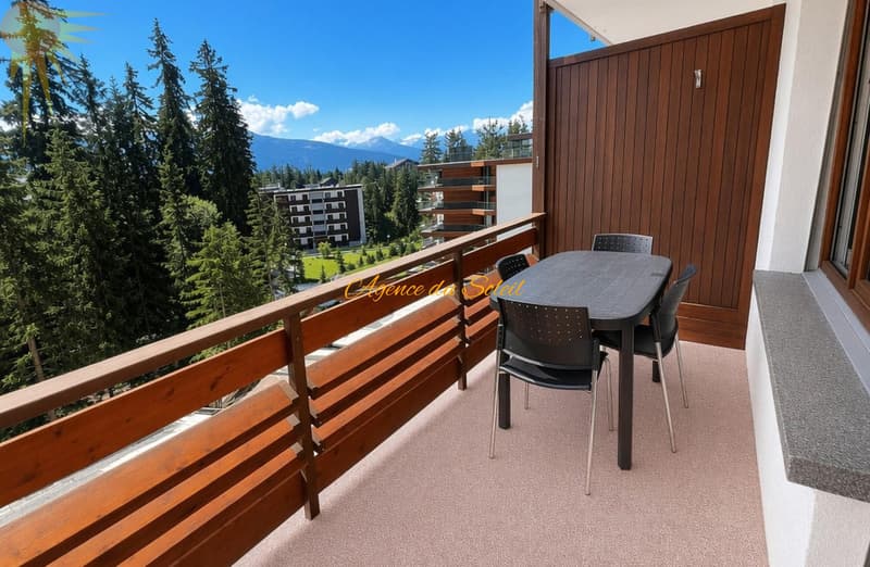 À louer (saison hiver) ce cosy et vaste studio au centre de Crans ! (10)
