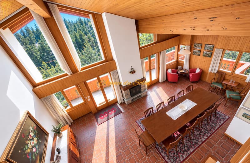 Très beau chalet de 6.5 pièces sur un grand terrain arborisé à Crans ! (3)