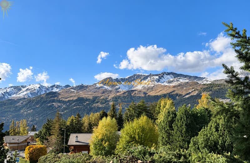 Très beau chalet de 6.5 pièces sur un grand terrain arborisé à Crans ! (2)