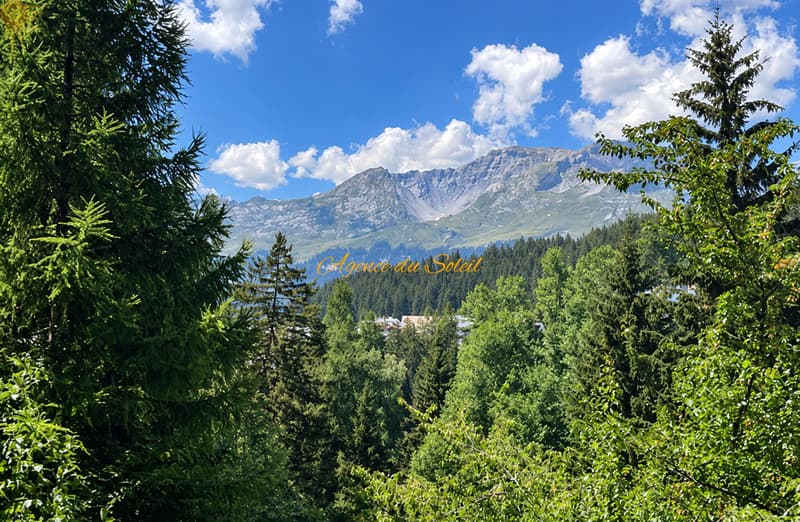 Adorable pied-à-terre rénové au coeur de Crans avec une belle vue dégagée ! (1)