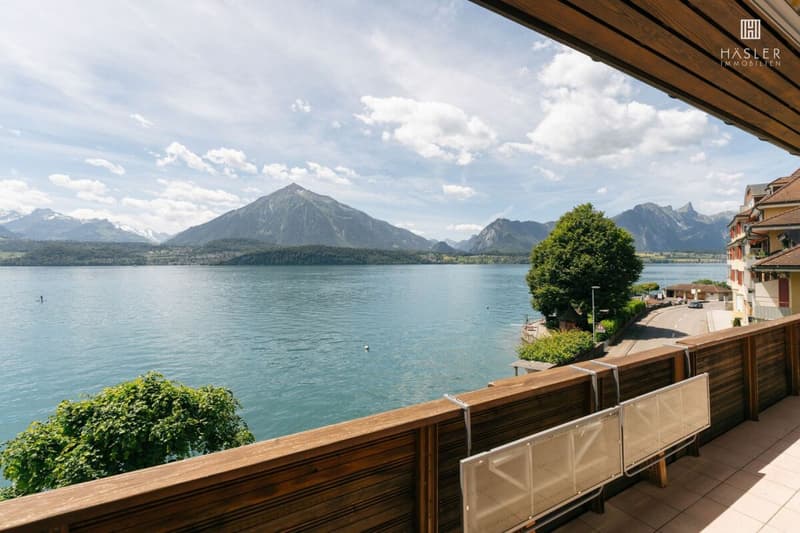 3½-Zimmer-Ferienwohnung am Ufer des Thunersees mit Badeplatz (4)