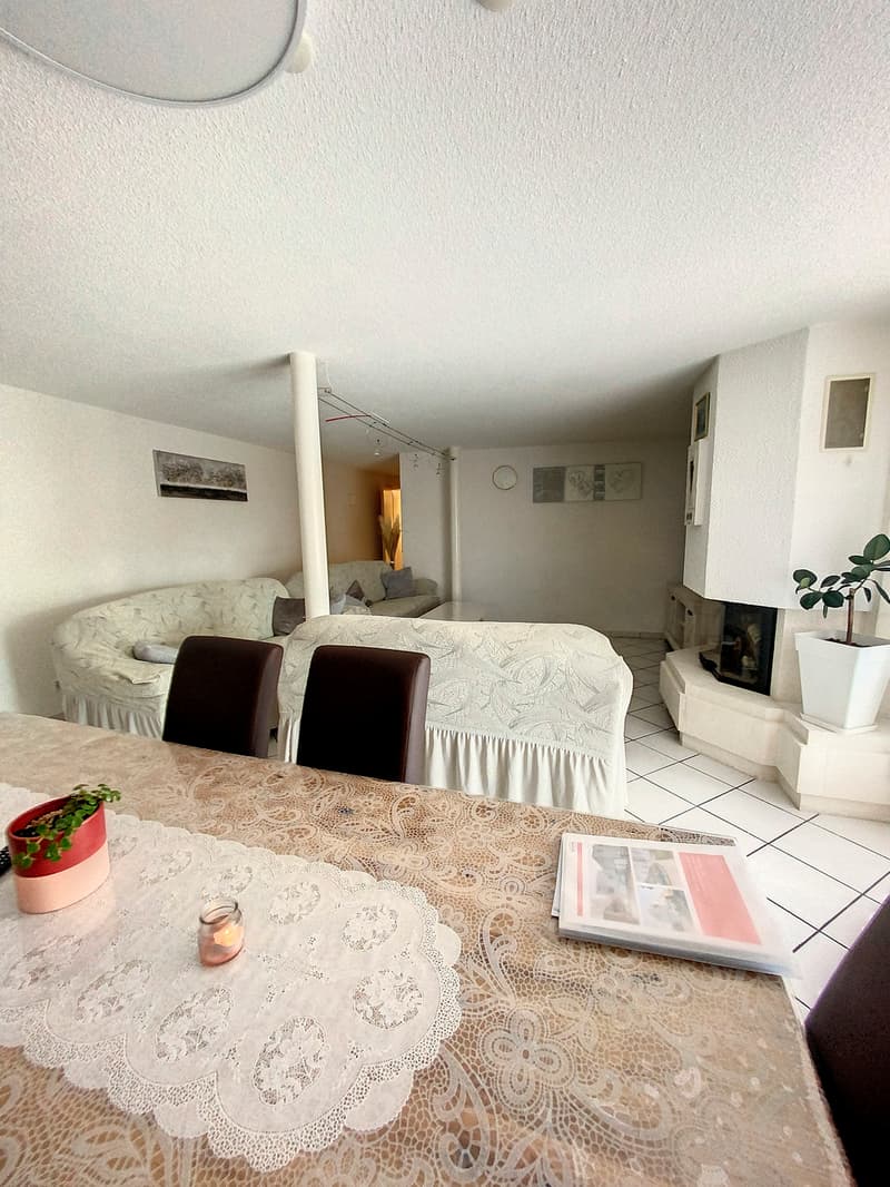 Appartement rez inférieur