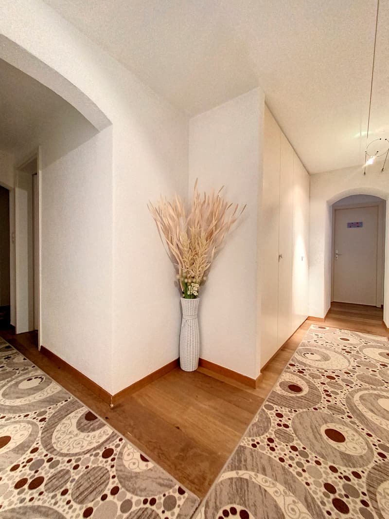 Appartement rez inférieur