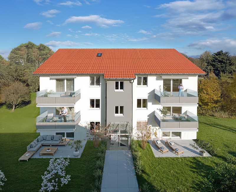 Visualisation immeuble rénové / Visualisierung renoviertes Gebäude