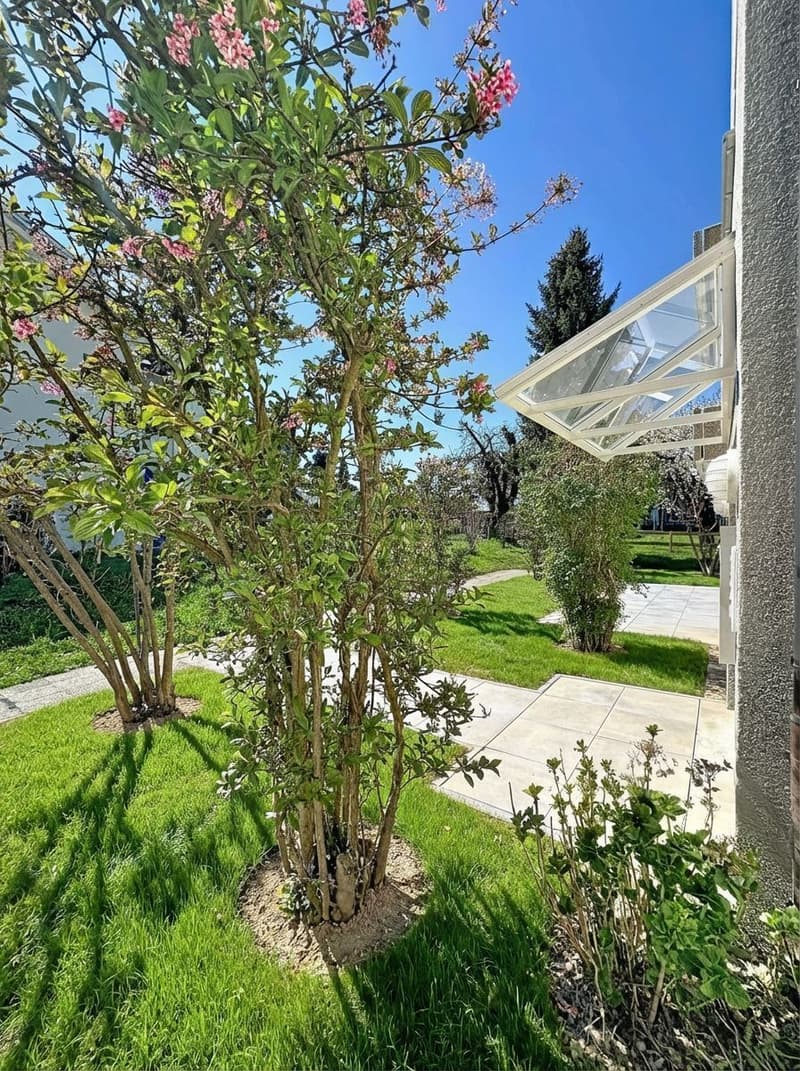 Très bel appartement rénové de 4.5 pces avec jardin (2)