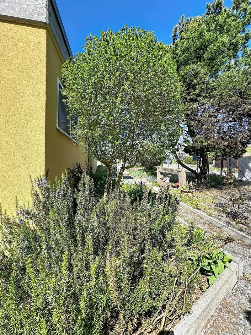 Villa jumelée de 5.5 pces Récemment rénovée A 2 pas de tout ! (2)