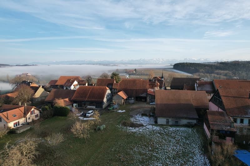 Ferme rénovée de 3 appartements (3)