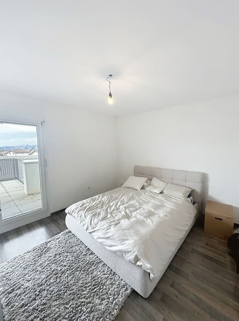 Attique avec grand balcon (4)